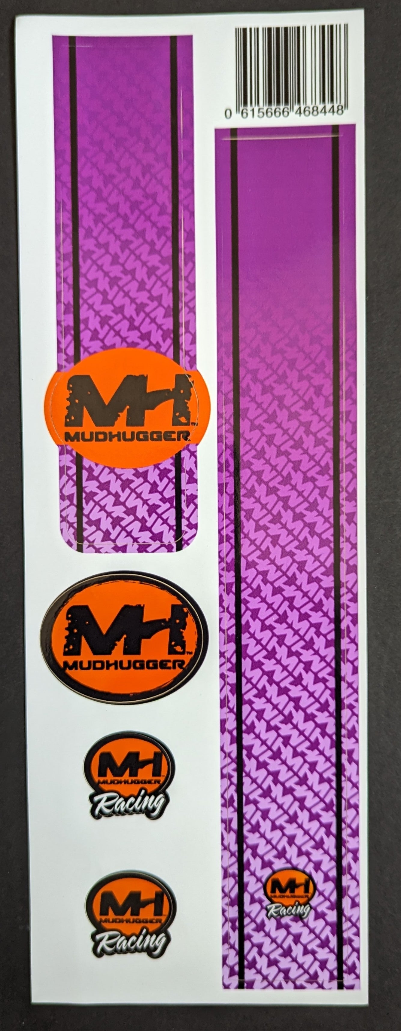 Decal and Sticker sheet for EVO Mudhugger